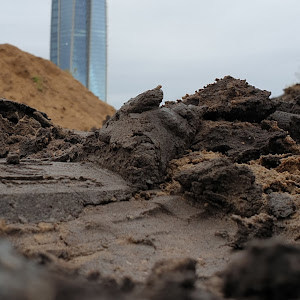 dimakelenmiir13 - תמונה