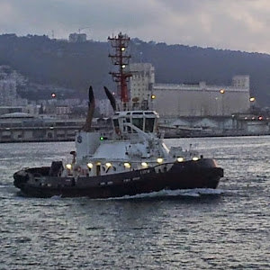 ariesh1956 - תמונה ariesh1956 - תמונה