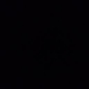 iddoivan1 - תמונה iddoivan1 - תמונה