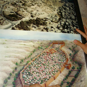 amielcohen347 - תמונה