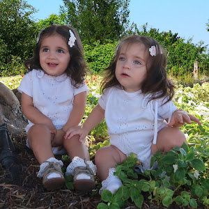 tamarc5263 - תמונה