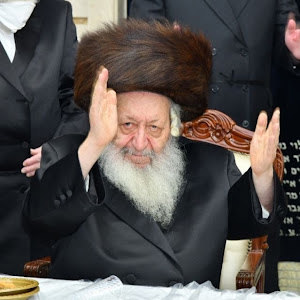 m0548468667 - תמונה