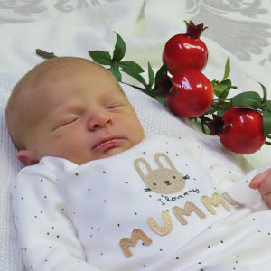 refaeltiko - תמונה refaeltiko - תמונה