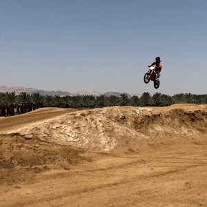 oryam.potash - תמונה oryam.potash - תמונה