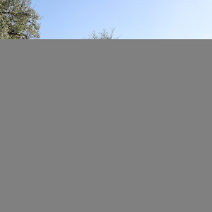 ahron0534171056 - תמונה