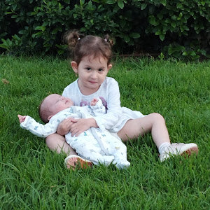 i0583228999 - תמונה