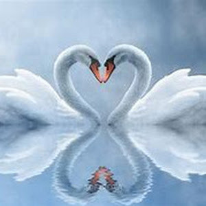 giti1010 - תמונה giti1010 - תמונה