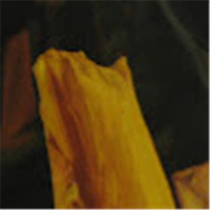 מלכי - תמונה מלכי - תמונה