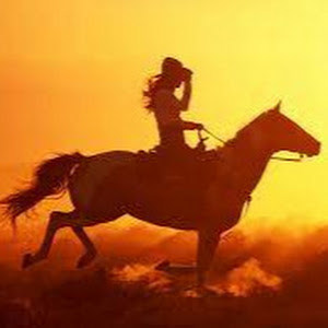 hila98.n - תמונה hila98.n - תמונה