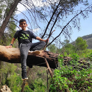 erezungar1213 - תמונה erezungar1213 - תמונה