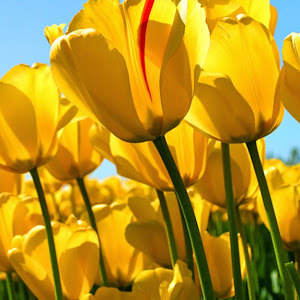 elinor922 - תמונה