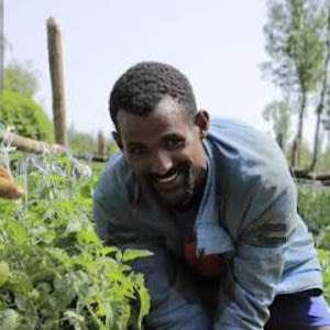 lywrtrwnk837 - תמונה