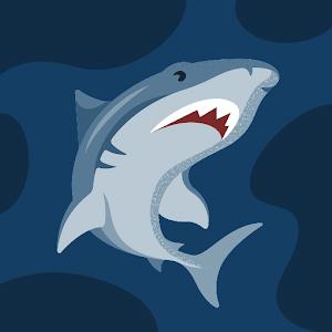 maya.givon1 - תמונה