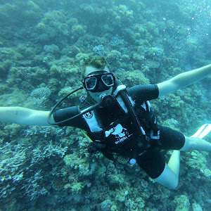 2007hani2007 - תמונה