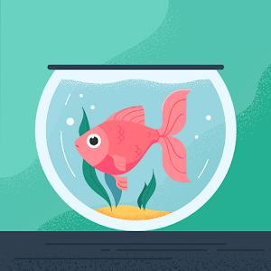 ganioh123 - תמונה ganioh123 - תמונה