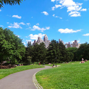 miridwek - תמונה