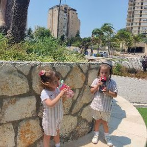 aash7950 - תמונה