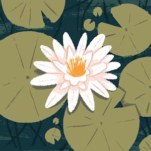 noammeir.android - תמונה