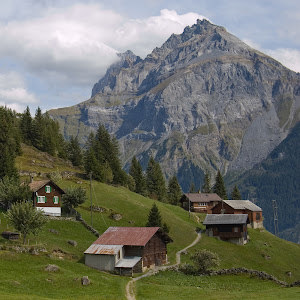 i0548580414 - תמונה