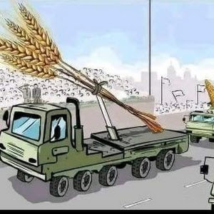 aiman.88887 - תמונה aiman.88887 - תמונה