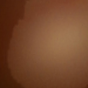 suzy15476 - תמונה suzy15476 - תמונה