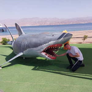 q025871410 - תמונה