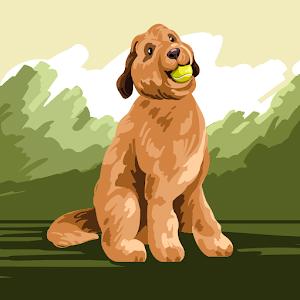 mayatal89 - תמונה