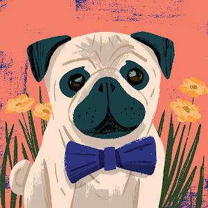 neriyabeynish - תמונה