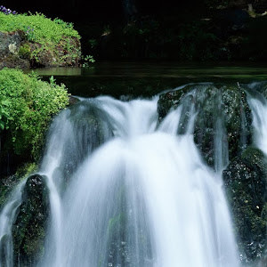 itzik35858 - תמונה