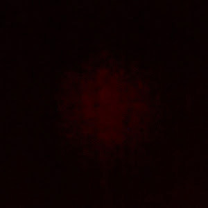 pwrlyyty - תמונה