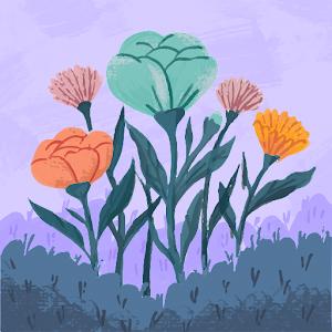 yakovirut1973 - תמונה