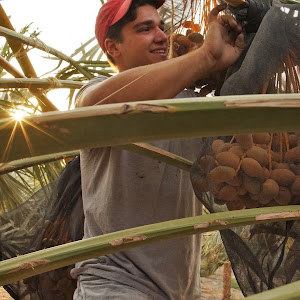 ilays.shemtov - תמונה ilays.shemtov - תמונה