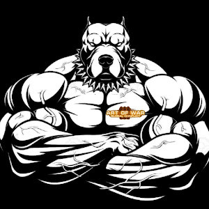 mayershlomi - תמונה