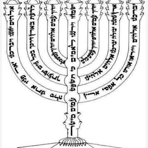 dudulevi1963 - תמונה