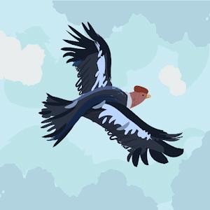 edenbokobza9 - תמונה