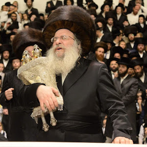 a7107135 - תמונה