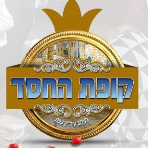 k0504184053 - תמונה