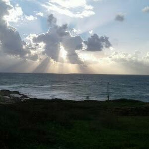 w0527610061 - תמונה w0527610061 - תמונה