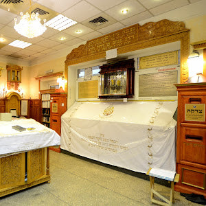 yc0548502740 - תמונה yc0548502740 - תמונה