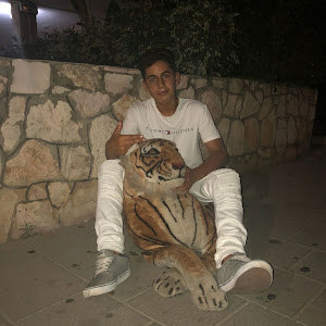 arielhajaj12 - תמונה arielhajaj12 - תמונה