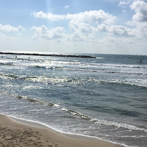 rancho2107 - תמונה rancho2107 - תמונה