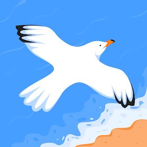 paluli.chani - תמונה