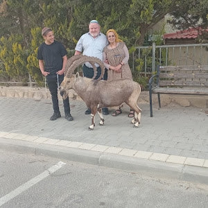 merav6160 - תמונה merav6160 - תמונה