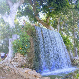 antonwahab8879 - תמונה antonwahab8879 - תמונה