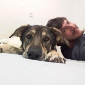 TAMTOV  - תמונה