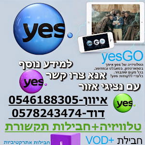 שלומי - תמונה שלומי - תמונה