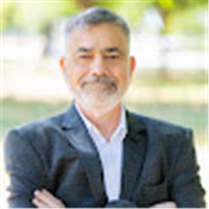 solomon. - תמונה