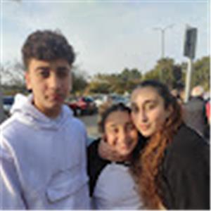 אילן - תמונה אילן - תמונה