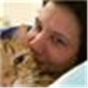 הדס - תמונה הדס - תמונה