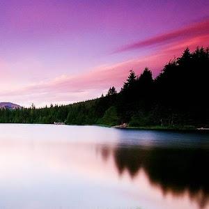 רועי - תמונה רועי - תמונה